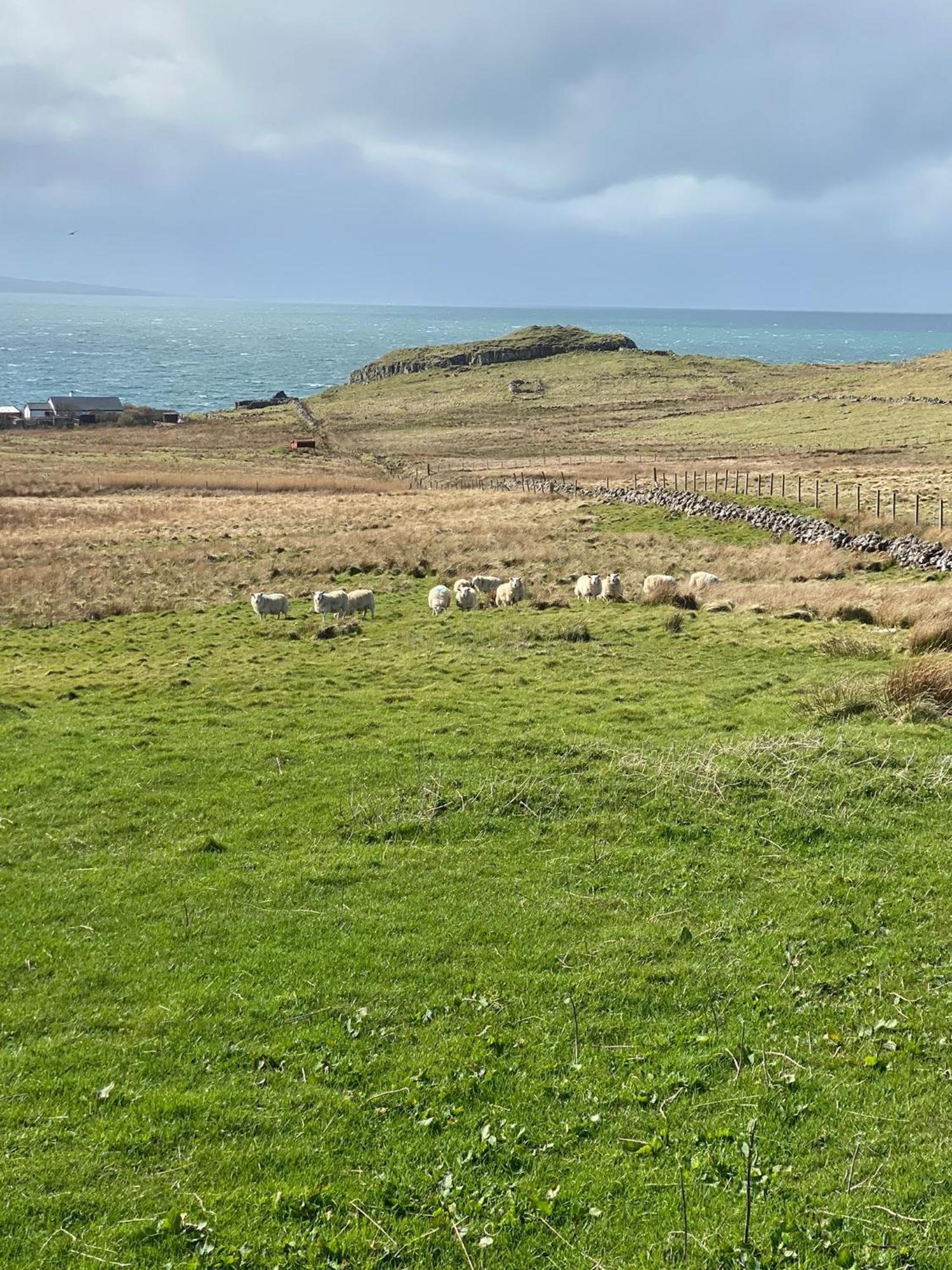 Cnoc Ruaraidh Cottage Kilmuir  Eksteriør billede